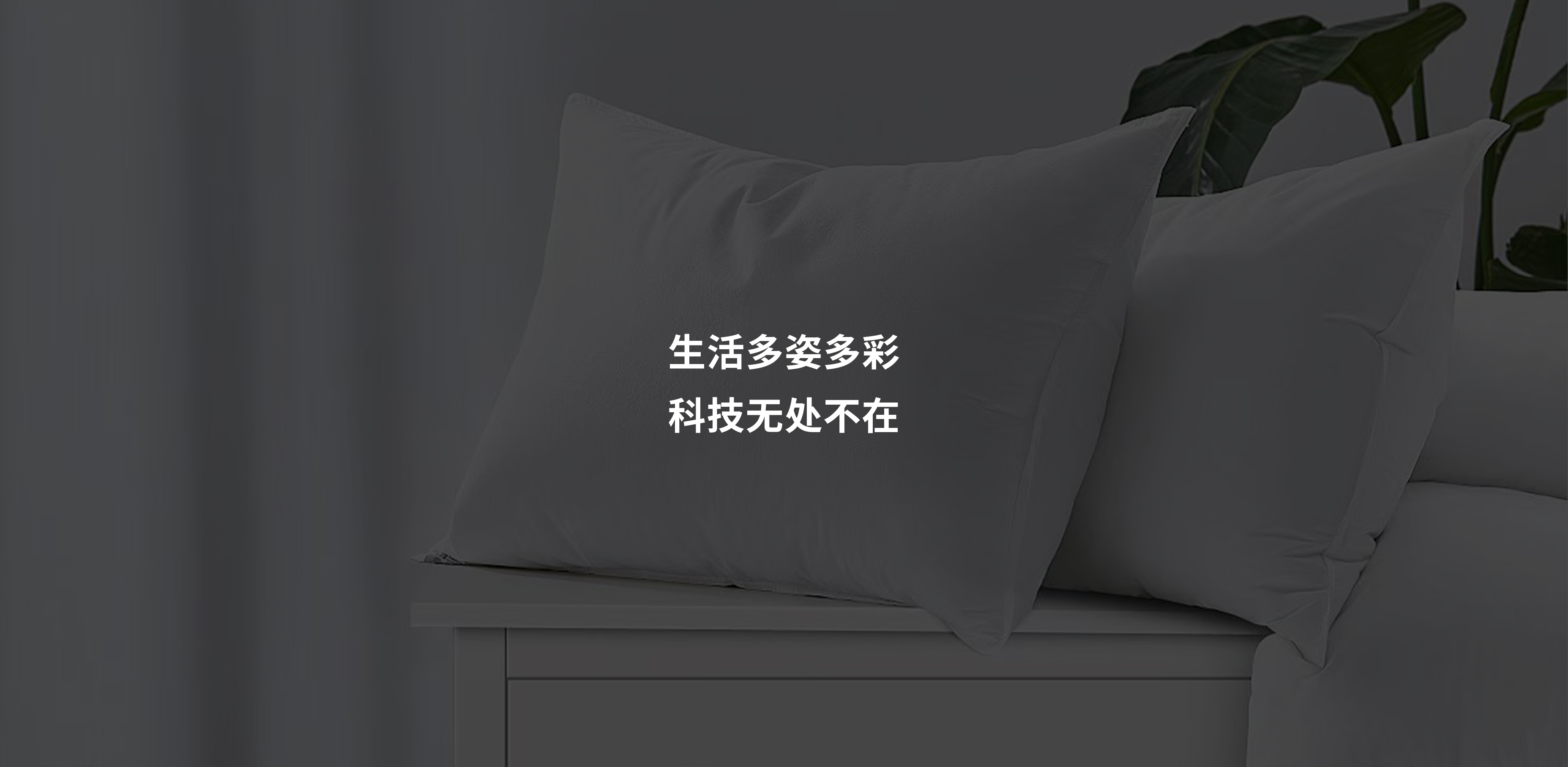 關于我們